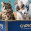 Super Bowl Victory = Free Treats for Your Pet from Chewy!