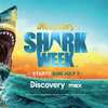 Win Big, Bigger than a Shark: $25,000 from Valpak!