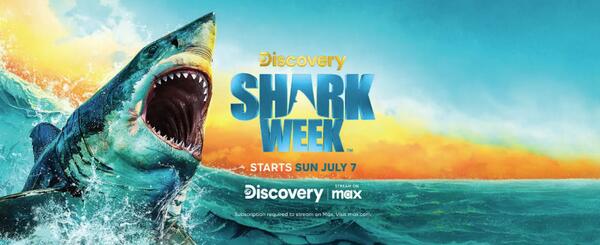 Win Big, Bigger than a Shark: $25,000 from Valpak!