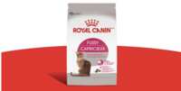 Treat Your Fussy Feline: Free Royal Canin Chatterbuy Kit