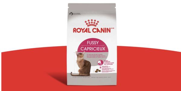 Treat Your Fussy Feline: Free Royal Canin Chatterbuy Kit