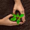 Plant a Heart, Grow a Garden: FREE Seed Paper Heart Giveaway!