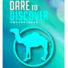 Embark on a Journey: Enter the Camel Dare to Discover Sweepstakes