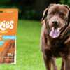 Dogs Love It, and It’s Free! Get a Sample of Hartz Oinkies Chews!