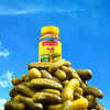 FREE Nature Made Pickle Flavored Multivitamin Gummies on April 19th