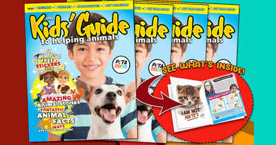 Secure a Free Kids' Guide to Helping Animals Magazine + Stickers