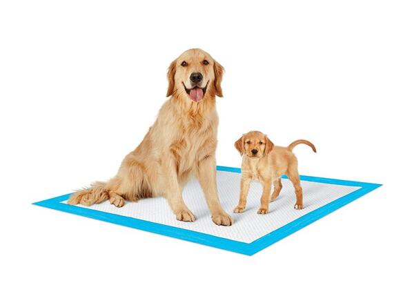 PetsWorld Training Pads for Free