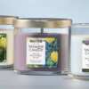 Today’s Freebie: FREE Yankee Candle (No Purchase Needed)