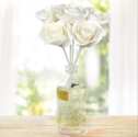 FREE Penny & Rose Scratch & Sniff Samples — Limited Time!