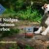 Tail Wagging Guaranteed: Free Nudges Grillers Salmon Chatterbox Kit!