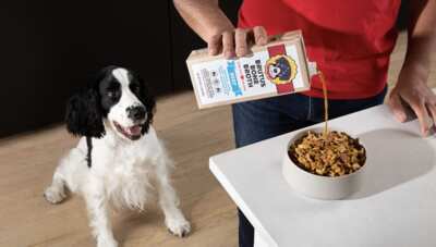 Paw-ty Time! Get a FREE Brutus Broth Yappy Hours Party Pack!