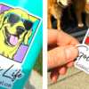 Live the Golden Life! Grab Your FREE Sticker Today with Free Shipping