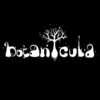 Get the Award-Winning Botanicula PC Game FREE!