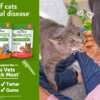Free Sample of Wellness Whimzees Cat Treats!
