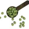 Kindleaf Naturals Product Sample for Free