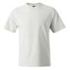 Snag a Classic: Free Hanes Beefy-T Limited Edition Shirt!