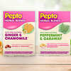 FREE Full-Size Peppermint & Caraway Pepto Herbal Blends!