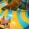 Free Preschool Pass at Busch Gardens Williamsburg and Water Country!