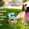 Make Training Fun! Free Blue Buffalo BLUE Bits Spring Treat Kit!