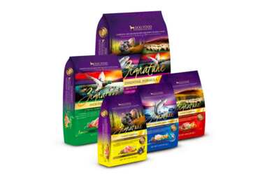 Order your FREE sample of Zignature Dog Food! - After Rebate