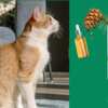 FREE Nature's Shield Flea & Tick Cat Spray
