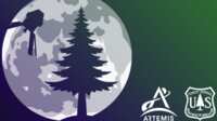 Artemis Moon Tree Seedling for Educators for FREE
