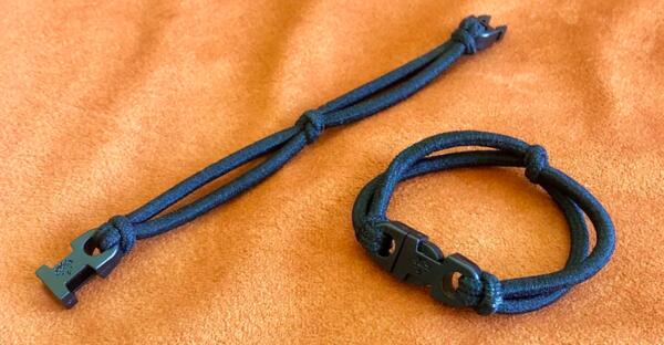 Get this RE.STATEMENT Buckle Hair Tie for FREE!