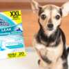 Odor-Free Home: Free Hartz Protection Dog Pads for Your Pup!