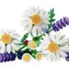 New Members Only – FREE LEGO Daisies Set
