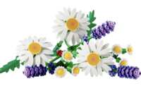 New Members Only – FREE LEGO Daisies Set