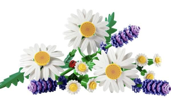 New Members Only – FREE LEGO Daisies Set