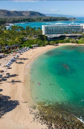 Enter and WIN a Trip to Honolulu to Stay at Turtle Bay Resort!