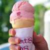 Single Scoop Cone for Free at Stewart's Shops