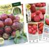Grow Something Great – FREE Gurney’s Catalog Available Now