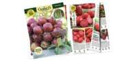 Grow Something Great – FREE Gurney’s Catalog Available Now