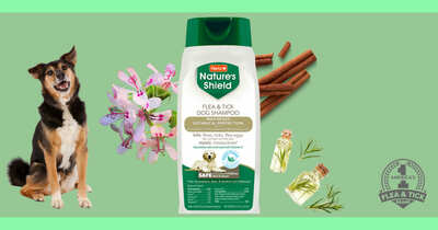 Claim a Free Hartz Nature's Shield Flea & Tick Dog Shampoo!