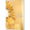 Experience the Sacred: Free Copy of Beautiful Eucharist Awaits You