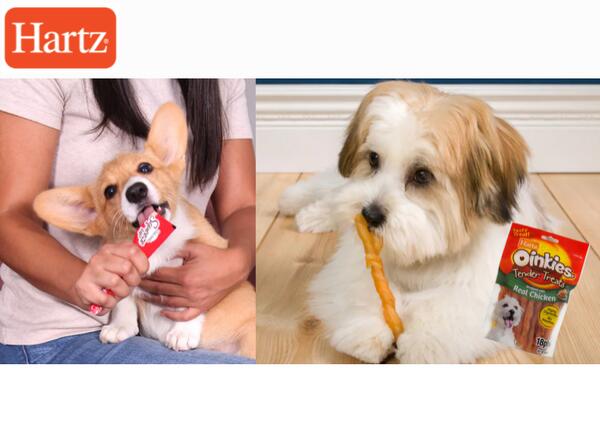 Hartz Delectables Squeeze Up or Oinkies Tender Dog Treats for Free
