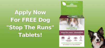 Help Your Pup Feel Better – FREE TevraPet Anti-Diarrhea Sample!