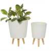 Indoor/Outdoor Planter for FREE