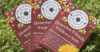 Bloom for Free! 5 Packs of Wildflower Seeds Waiting for You