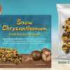Claim Your FREE Dragon Herbs Sample Pack Today!