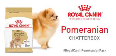 Royal Canin Pomeranian Chatterbox Kit for FREE!