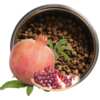 Snag a FREE Gourmet Pet Chef Organic Dog Food Sample