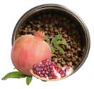 Snag a FREE Gourmet Pet Chef Organic Dog Food Sample