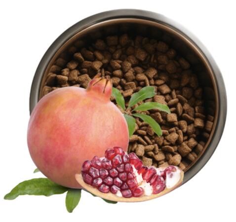 Snag a FREE Gourmet Pet Chef Organic Dog Food Sample
