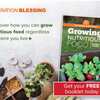 Growing Nutritious Food in Small Spaces Booklet for FREE!