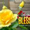 A Year of Blessings Awaits: Claim Your Free 2025 Unity Calendar!