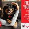 Claim Your Free Purina SuperPet Smart ID Tag!