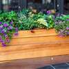 Grab Your Free Planter Box – Don’t Miss Out!